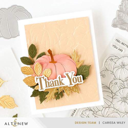 Altenew - Embossing Folder - 3D - Pumpkin Patch
