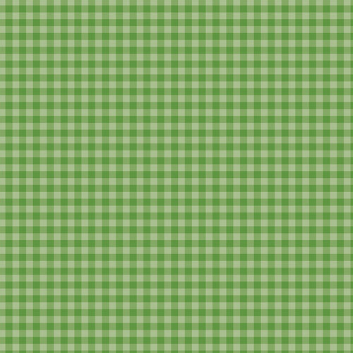 Echo Park - Gingham Collection - 12 x 12 Double Sided Paper - Leaf Green 2 Echo Park - Gingham Collection - 12 x 12 Double Sided Paper - Leaf Green