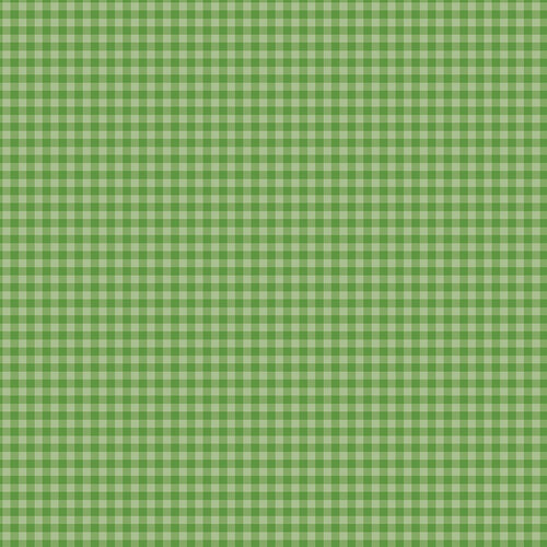 Echo Park - Gingham Collection - 12 x 12 Double Sided Paper - Leaf Green 3 Echo Park - Gingham Collection - 12 x 12 Double Sided Paper - Leaf Green