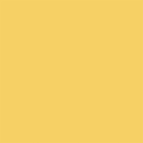 Echo Park - Firefly Collection - 12 x 12 Double Sided Paper - Lt. Yellow - Navy