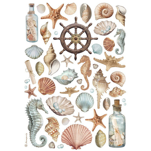 Stamperia - A4 Rice Paper - Shells