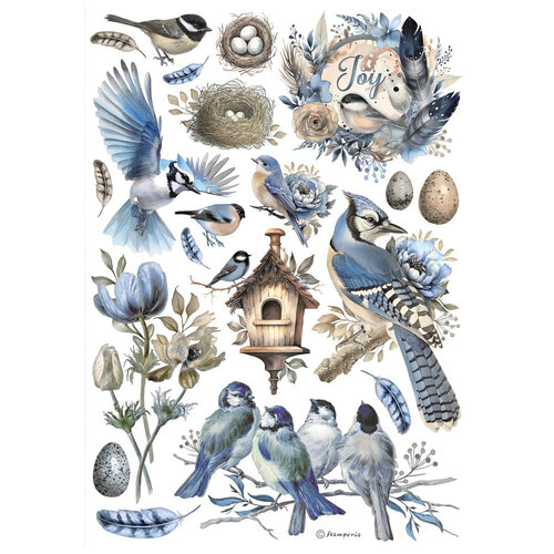 Stamperia - A4 Rice Paper - Birds