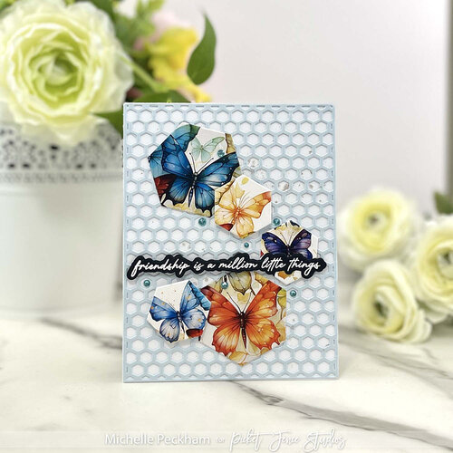 Picket Fence Studios - Dies - A Bee's Life Cover Plate