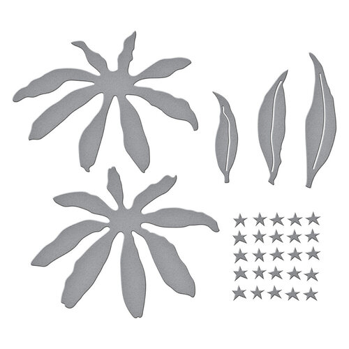 Spellbinders - Summer Solstice Garden Collection - Etched Dies - Echinacea