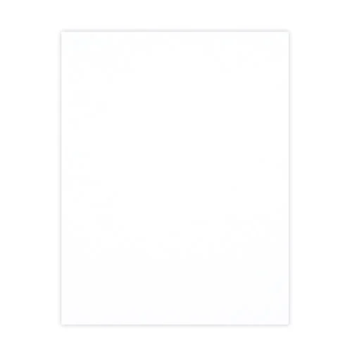 Scrapbook.com - 8.5 x 11 Chipboard - 1X Heavy - 50pt - White One Side - One Sheet