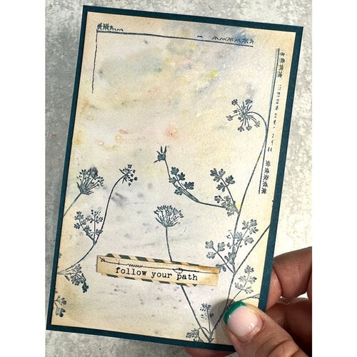 Arden Creative Studio - Maker Series Collection - Clear Photopolymer Stamps - Wispy Stems 3 Arden Creative Studio - Maker Series Collection - Clear Photopolymer Stamps - Wispy Stems