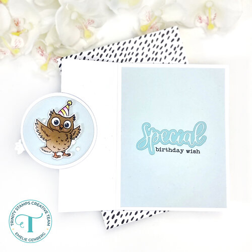 Trinity Stamps - Dies - Hoot Hoot Hooray