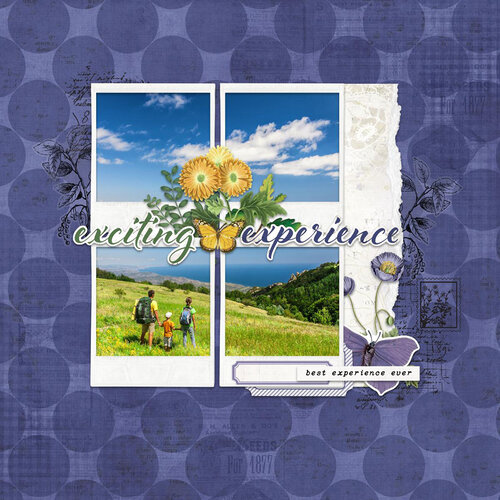 Arden Creative Studio - Laurel Grove Collection - Ephemera - Page Makers 3 Arden Creative Studio - Laurel Grove Collection - Ephemera - Page Makers