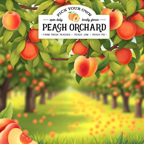 Scrapbook Customs - 12 x 12 Double Sided Paper - Peach Orchard - Pick Your Own