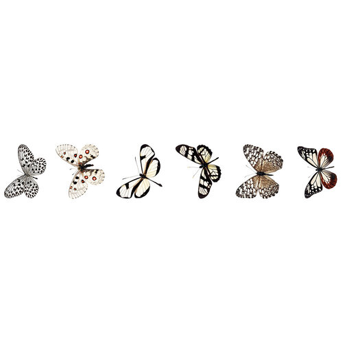 Studio Light - Grunge Collection - Clear Stickers - Butterfly