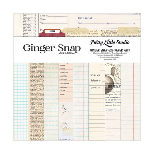 Pretty Little Studio - Ginger Snap Collection - Paper Pack - 6 x 6 Single Sided - Ledger