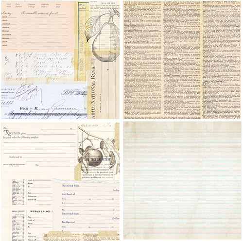 Pretty Little Studio - Ginger Snap Collection - Paper Pack - 6 x 6 Single Sided - Ledger