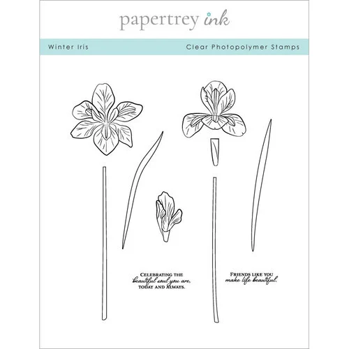 Papertrey Ink - Clear Photopolymer Stamps - Winter Iris