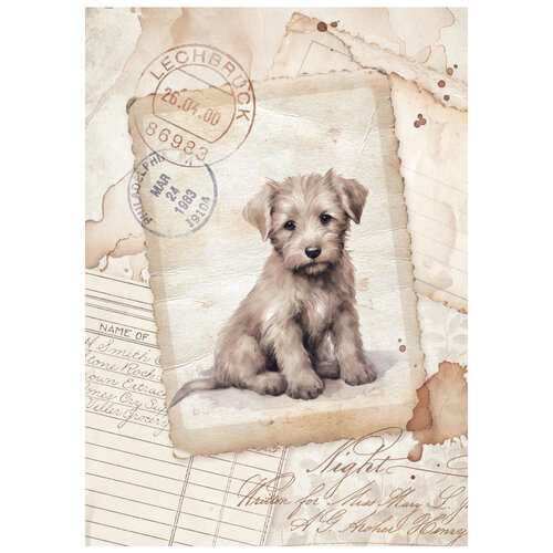 Stamperia - Quiet Days Collection - A6 Mini Rice Paper - 8 Sheets 2 Stamperia - Quiet Days Collection - A6 Mini Rice Paper - 8 Sheets
