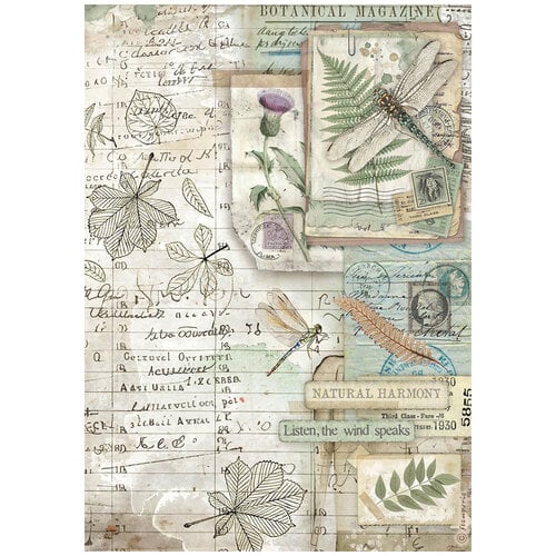 Stamperia - Herbarium Silvae Collection - A4 Rice Paper - Botanic 1 Stamperia - Herbarium Silvae Collection - A4 Rice Paper - Botanic