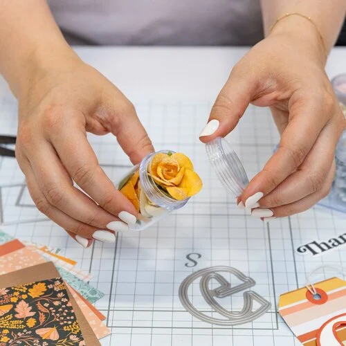 Scrapbook.com - Embellishment Jars - 24 Pieces with Storage Cases - Large and Mini Bundle