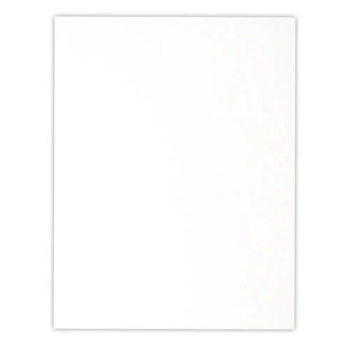 Scrapbook.com - Cardstock - 8.5 x 11 - Neenah Solar White - Ultra Thick - 25 Pack
