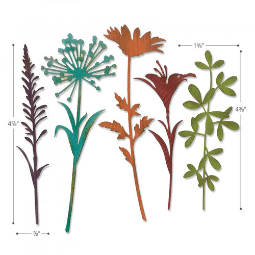 Sizzix - Tim Holtz - Alterations Collection - Thinlits Dies - Wildflower Stems 02 2 Sizzix - Tim Holtz - Alterations Collection - Thinlits Dies - Wildflower Stems 02