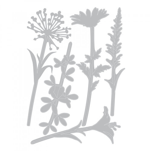 Sizzix - Tim Holtz - Alterations Collection - Thinlits Dies - Wildflower Stems 02 3 Sizzix - Tim Holtz - Alterations Collection - Thinlits Dies - Wildflower Stems 02