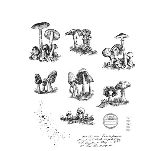 Stampers Anonymous - Tim Holtz - Cling Mounted Rubber Stamp Set - Tiny Toadstools 1 Stampers Anonymous - Tim Holtz - Cling Mounted Rubber Stamp Set - Tiny Toadstools