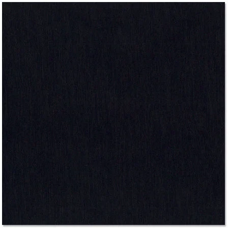 Bazzill Basics - 12 x 12 Cardstock - Grasscloth Texture - Fourz - Blackbird 1 Bazzill Basics - 12 x 12 Cardstock - Grasscloth Texture - Fourz - Blackbird