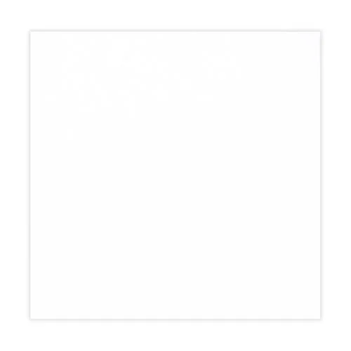 Scrapbook.com - 12 x 12 Chipboard - 1X Heavy - 50pt - White One Side - One Sheet