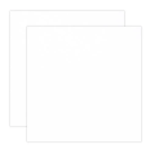 Scrapbook.com - 12 x 12 Chipboard - 1X Heavy - 50pt - White One Side - 2 Sheets