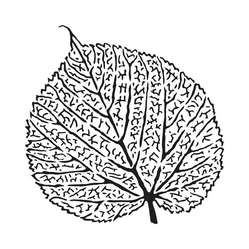 The Crafter's Workshop - 6 x 6 Stencils - Skeletal Leaf 1 The Crafter's Workshop - 6 x 6 Stencils - Skeletal Leaf