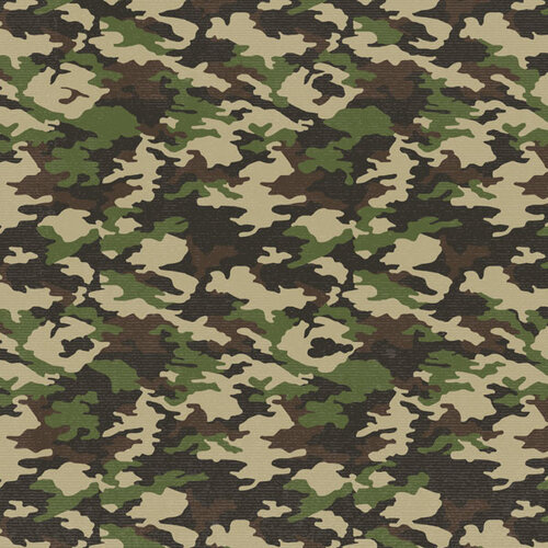 Scrapbook Customs - 12 x 12 Double Sided Paper - Regular Camo