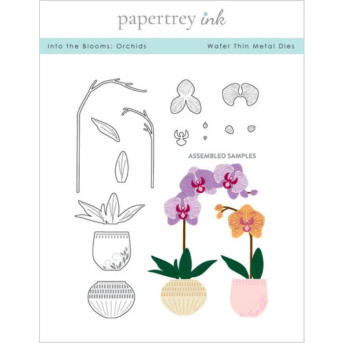 Papertrey Ink - Metal Dies - Into The Blooms - Orchids 1 Papertrey Ink - Metal Dies - Into The Blooms - Orchids
