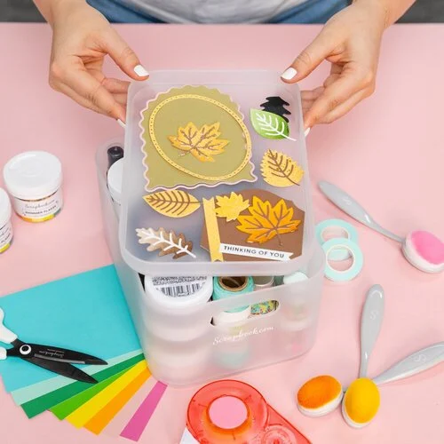 Scrapbook.com - Storage Bin with Lid - Frost - 2 Pack