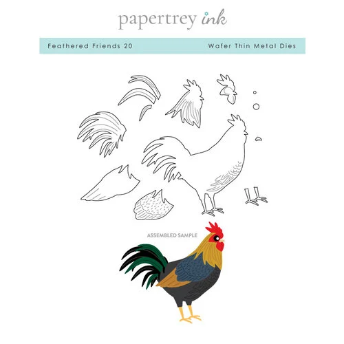 Papertrey Ink - Metal Dies - Feathered Friends - Set 20