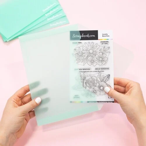 Scrapbook.com - Mint Storage Envelopes - Plastic - 6 x 8.75 - Medium - 10 Pack 2 Scrapbook.com - Mint Storage Envelopes - Plastic - 6 x 8.75 - Medium - 10 Pack
