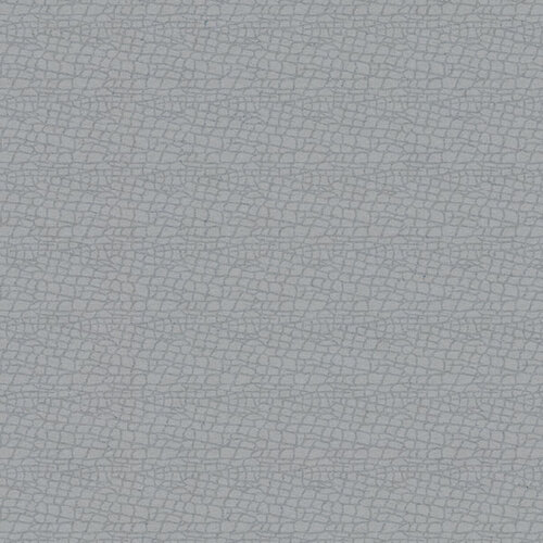 Scrapbook Customs - 6 x 6 Paper Pack - Animal Print
