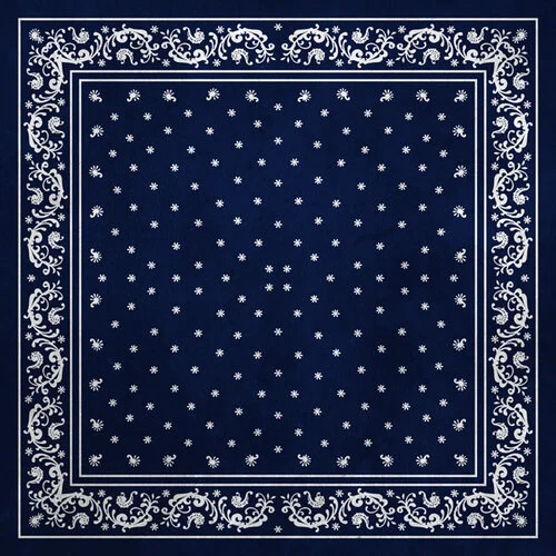 Scrapbook Customs - 6 x 6 Paper Pack - Texas