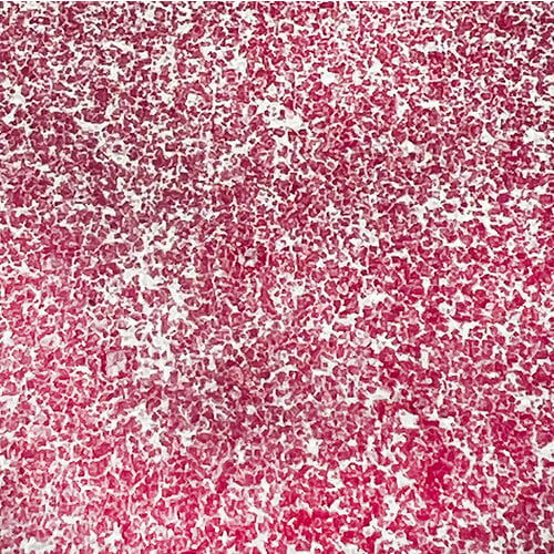 Pink and Main - Embossing Powder - Peppermint Swirl 2 Pink and Main - Embossing Powder - Peppermint Swirl