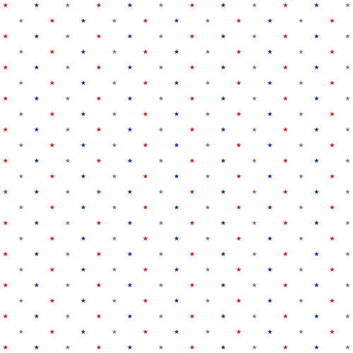 Scrapbook Customs - 12 x 12 Double Sided Paper - 4th of July 05
