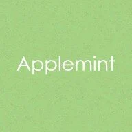Gina K Designs - 8.5 x 11 Cardstock - Heavy Weight - Applemint