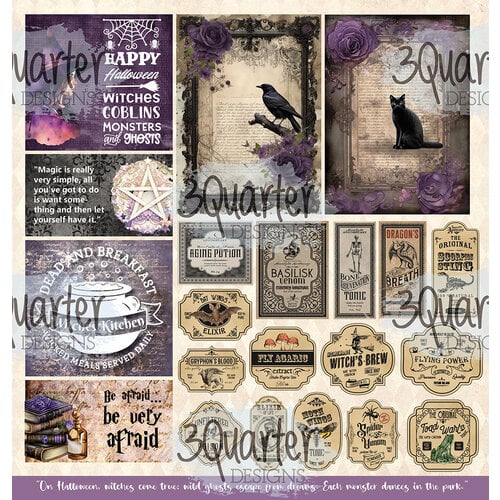 3Quarter Designs - Magic Potion Collection - 12 x 12 Paper Pack 10 3Quarter Designs - Magic Potion Collection - 12 x 12 Paper Pack