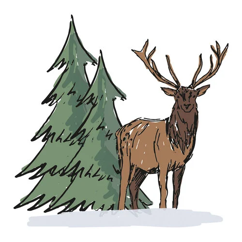 Sizzix - Clear Stamps - Forest Deer