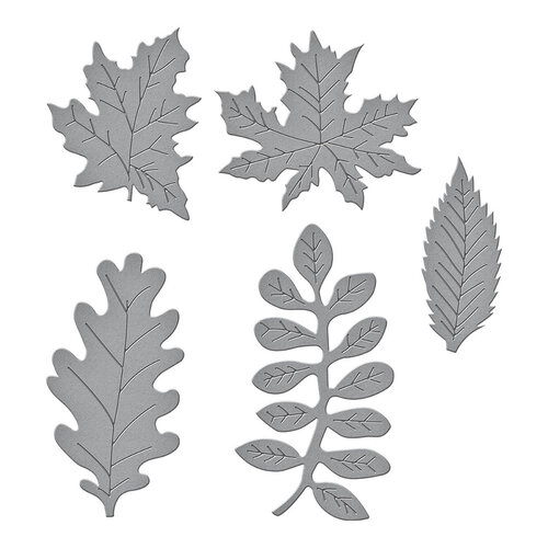 Spellbinders - Etched Dies - Autumn Foliage 2 Spellbinders - Etched Dies - Autumn Foliage
