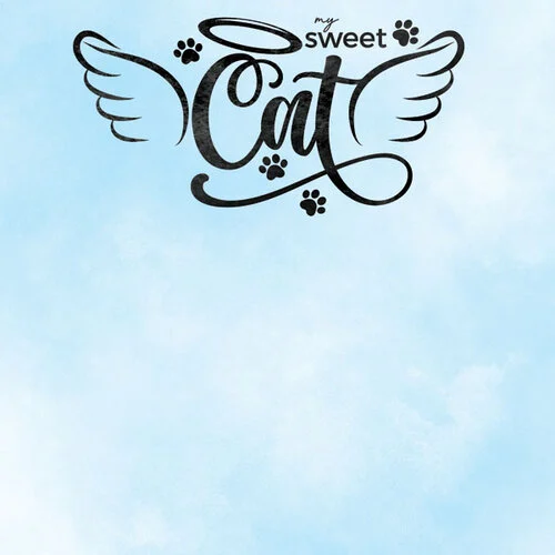 Scrapbook Customs - 12 x 12 Double Sided Paper - Cat Angel Wings