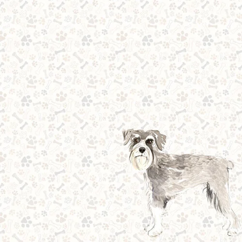 Scrapbook Customs - 12 x 12 Double Sided Paper - Schnauzer Watercolor 2 Scrapbook Customs - 12 x 12 Double Sided Paper - Schnauzer Watercolor