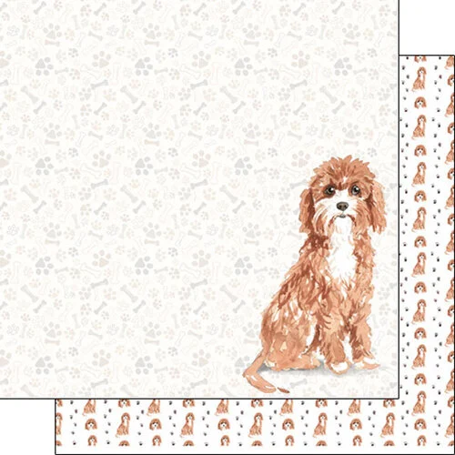 Scrapbook Customs - 12 x 12 Double Sided Paper - Cavapoo Watercolor 1 Scrapbook Customs - 12 x 12 Double Sided Paper - Cavapoo Watercolor