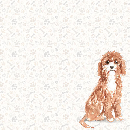 Scrapbook Customs - 12 x 12 Double Sided Paper - Cavapoo Watercolor 2 Scrapbook Customs - 12 x 12 Double Sided Paper - Cavapoo Watercolor