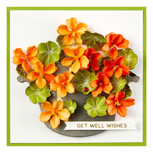 Spellbinders - Dies - Nasturtium and Galvanized Wash Bucket 4 Spellbinders - Dies - Nasturtium and Galvanized Wash Bucket