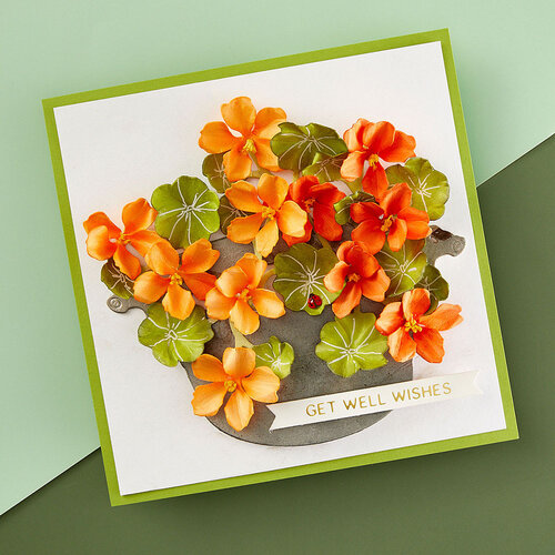 Spellbinders - Dies - Nasturtium and Galvanized Wash Bucket 5 Spellbinders - Dies - Nasturtium and Galvanized Wash Bucket