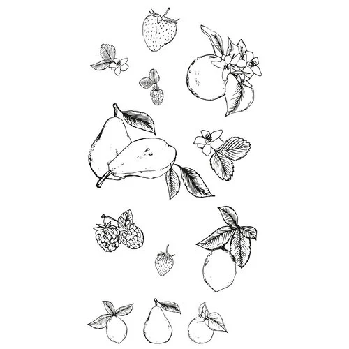 Sizzix - Clear Stamps - Botanical Fruit 1 Sizzix - Clear Stamps - Botanical Fruit