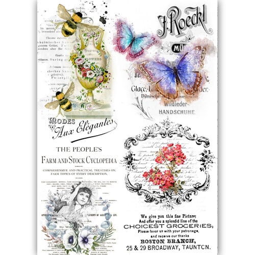 Dress My Craft - Transfer Me - Flutterfly 1 Dress My Craft - Transfer Me - Flutterfly