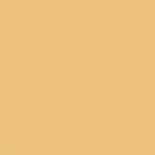 Echo Park - Chickens Collection - 12 x 12 Double Sided Paper - Black - Yellow
